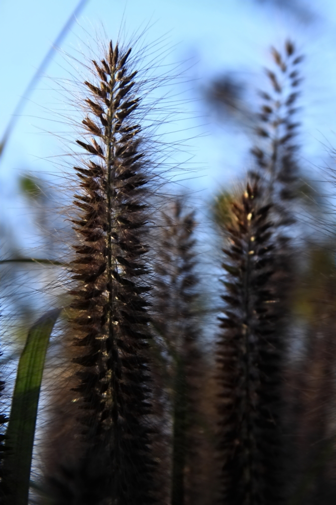 2010 10 23 IMG 13201
